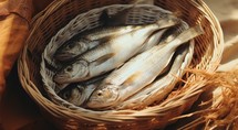 "Feeding the multitude". Fresh fishes in a wicker basket on a wooden background. Close-up.