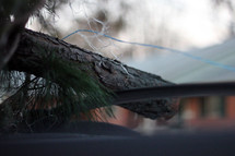 a Christmas tree on top of a car 