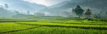 A verdant green field dotted with lush trees stretches towards majestic mountains in the background. The scene conveys a sense of tranquility and natural beauty.