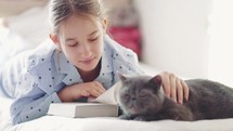 Girl strokes a grey cat while reading a book. 