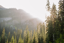 rays of sunlight shining on a mountain and forest 