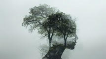 Environmental awareness. Double exposure of tree and human face in foggy forest background.