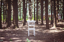 empty white chair in a forest 