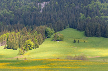 green valley 