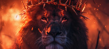 Lion with a crown of thorns. Jesus, the Lion