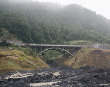 Coastal Highway Bridge with Forest in the Background