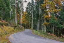 road through black forest in autumn 