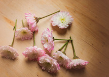 Flowers scattered on a table.
