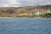 pods of dolphins of a Hawaiian shore 
