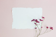 flowers and blank paper on pink