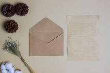 pine cones, flowers, envelope, paper, cotton 