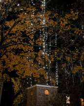 outdoor Christmas lights on trees 