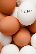 word hope on eggs 