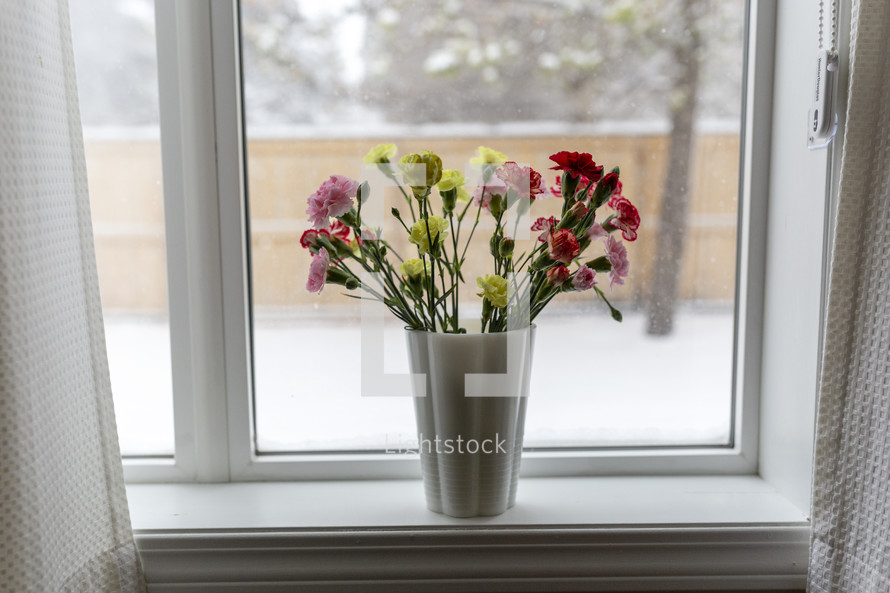 carnation bouquet in a vase in a window 
