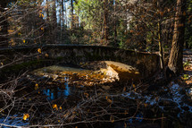 Stone bridge over stream with fall trees