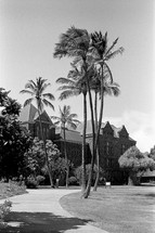 palm trees in front of a mansion 