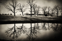 reflection of trees on a winter farm pond 