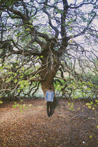 tree with wavy branches and a man standing under it 