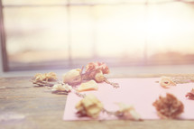 Dried flowers on pink by bright window