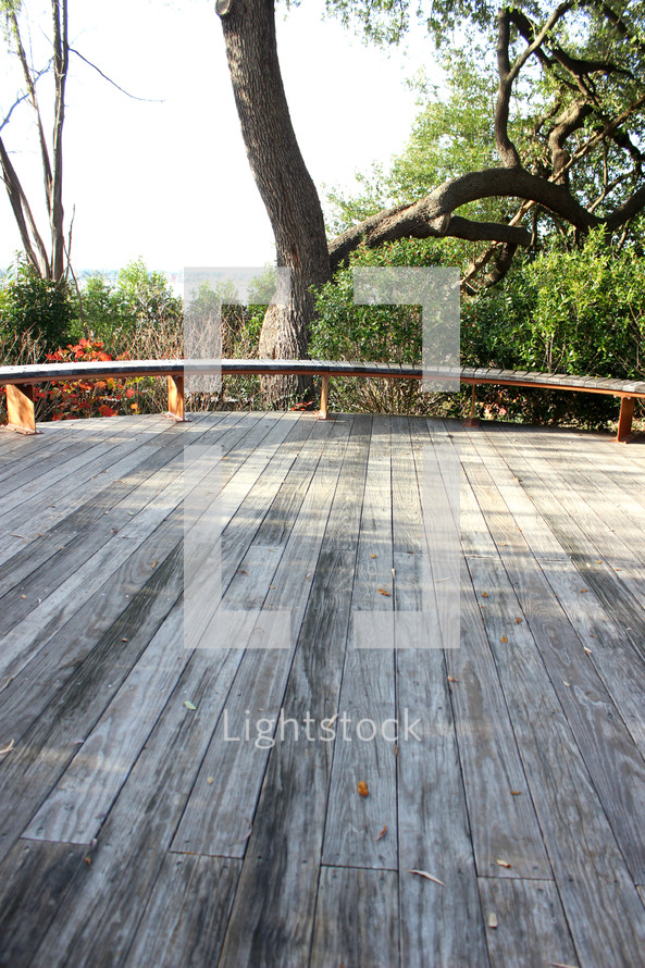 wood deck and trees 