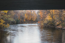 fall trees along river banks 