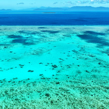 turquoise sea 