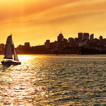 sailing in a harbor at sunset 