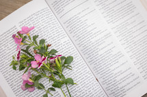 flowers on the pages of a Bible 