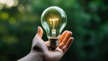 Woman hand holding a light bulb on nature background. The concept of idea and innovation.