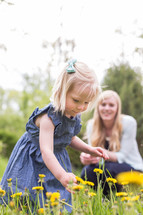 a little girl picking dandelions with mom