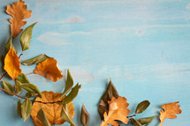 fall leaves on a blue wood background 