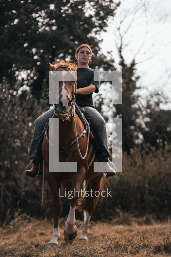 Horse riding woman on a brown stallion, western style saddle horseback rider