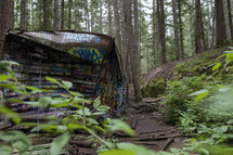 graffiti on an old train in a forest 