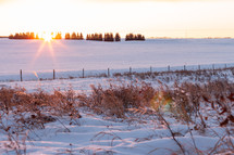 winter sunset over a snow covered field 