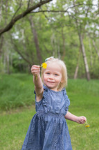 a little girl holding a dandelion 