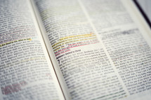 highlighted scripture on the pages of a Bible 