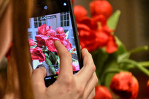 girl taking pictures of tulips in a vase with her cellphone 