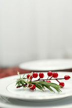 red berries on a white plate 