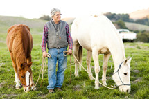 man leading horses to graze farm country hillside