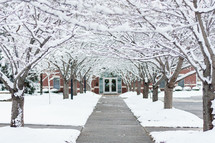 Archway of snow-covered trees along sidewalk leading to front door of school.