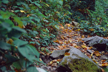 Autumn landscape