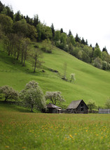 mountain cabin and green grass 