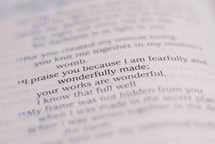"praise you because I am fearfully and wonderfully made"