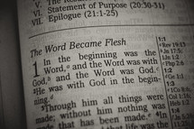 word become flesh