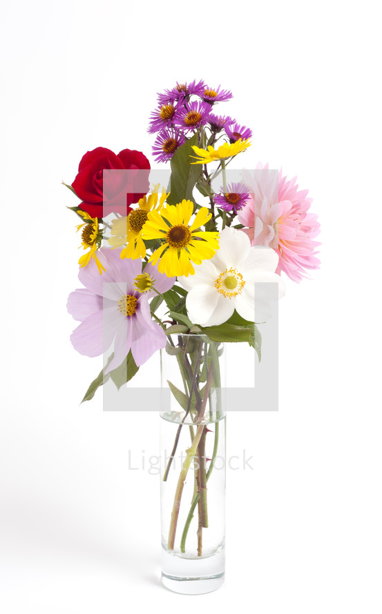 flowers in a vase 
