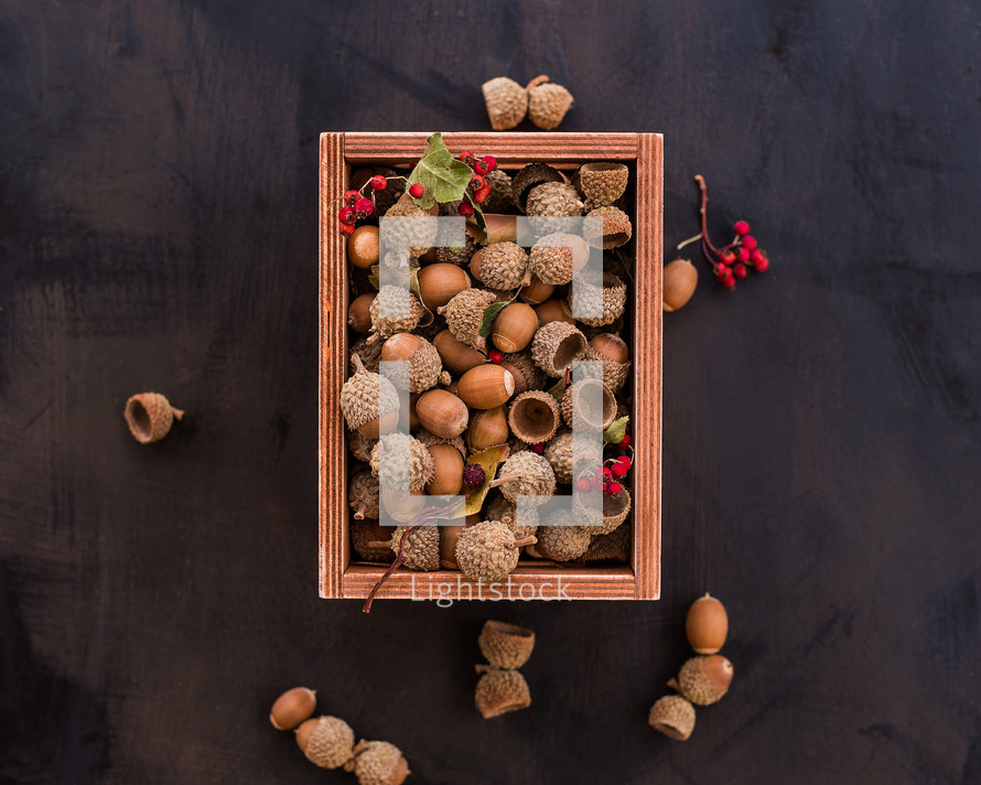 acorns in a wood crate 