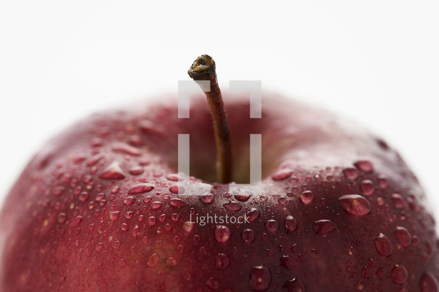 water droplets on a red apple.