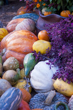 fall scene, fall, pumpkins, gourds, flowers, garden, autumn, marigolds 
