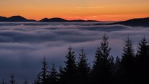Foggy clouds move fast in forest nature landscape with beautiful colors after sunset in summer evening Time lapse
