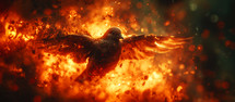 Dove flying in the fire. Fire background.